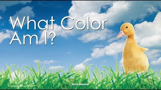 "What Color am I?" song and movie sample (SING.PLAY.LOVE.)