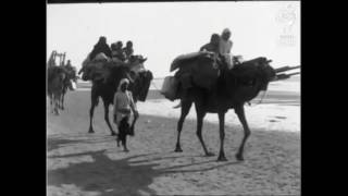 فيديو نادر لموسم روبين قضاء مدينة يافا يعود تاريخه لعام 1935