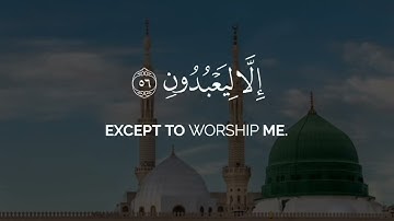 وما خلقت الجن والإنس إلا ليعبدون | ريان المحيسني شاشة سوداء قرآن سورة الذاريات بدون حقوق