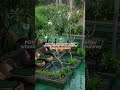 WIN: A 3D2N stay at Hotel Indigo Bali worth over $600 #giveaway #balitrip