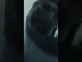 MENTAL CRUELTY | RAISE THE RAVEN BANNER | OUT NOW