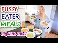 MEALS FUSSY EATERS WILL LOVE!  6 PICKY EATER MEAL IDEAS  |  Emily Norris