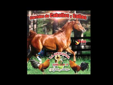 Ver video de Caballo bayo