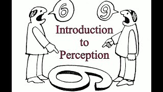 Introduction to Perception