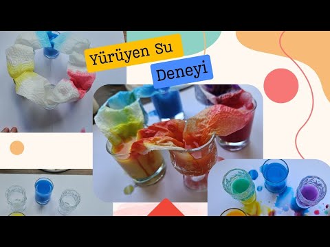 Yürüyen Su Deneyi🔵🟡🔴 Abone olmayı unutmayın🙏🍀