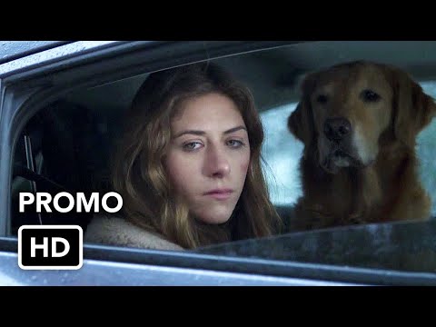 In The Dark 3x04 Promo "Safe and Sound" (HD)