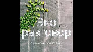 Что такое экомаркировка и как не попасться на удочку гринвошинга