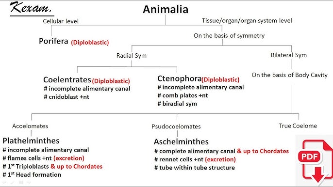 Animal Kingdom Classification Chart. #nbd2. kexam. #neet - YouTube