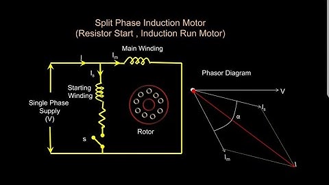 Split Phase Induction Motor (with Animation in Hindi)