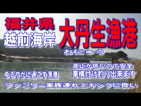 #92福井県大丹生漁港おにゅう福井県福井市大丹生町海がきれいな漁港ファミリー家族連れサビキ釣りに良い波止が低いので安全弁慶の洗濯岩駐車場海がきれいな漁港ファミリー家族連れエギングに良い