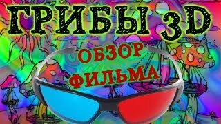 Обзор фильма Грибы 3D