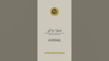 سورة الإسراء الآية 10-12 تلاوة شيخ الدوسري #اكسبلور