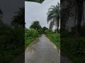 বৃষ্টি #rain #road