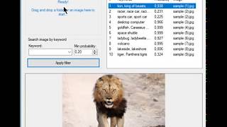 Image Tagger - a Convolutional Neural Network Based Image Classifier