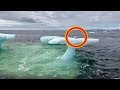 Fishermen Think They Found A Seal On A Floating Iceberg Until They Got A Closer Look