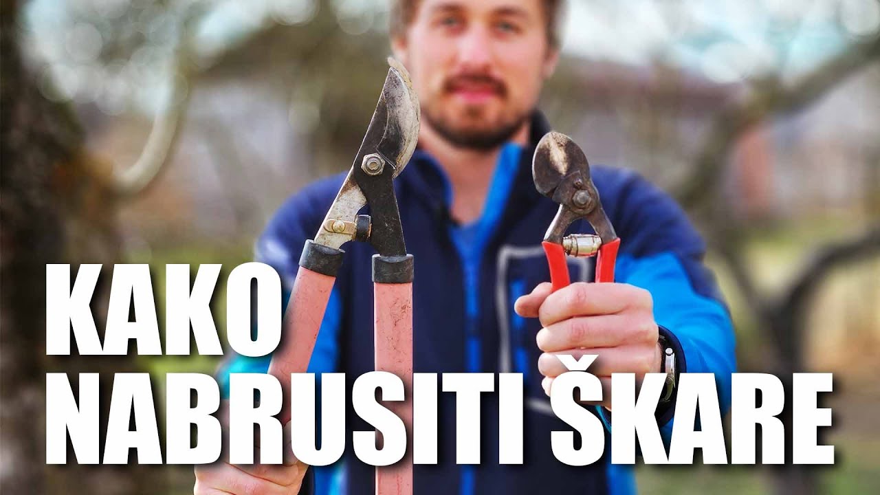 Ovako Naoštri Voćarske Škare Za Savršen Rez | Brzo i Lako