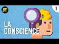 La conscience - Cours condensé de philosophie #1