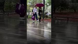 En esta fecha iniciará la temporada de lluvias #Short