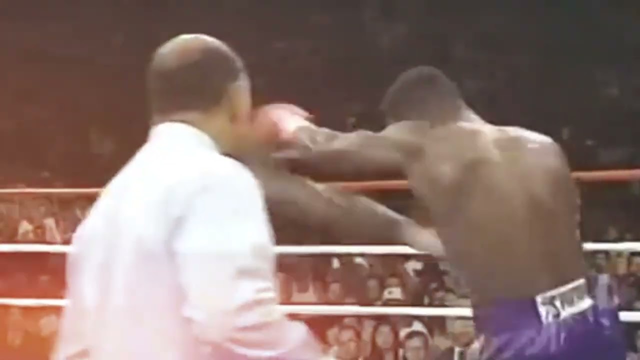 🔥 James Toney vs Reggie Johnson Williams | Full Fight Highlights & Breakdown