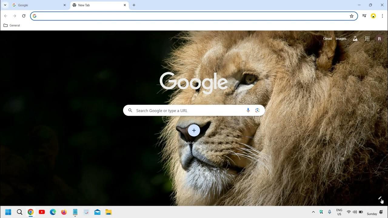 how-to-change-chrome-background-google-chrome-theme-color-2024