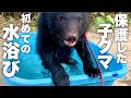 保護した小グマに初めての水浴び意外な反応に…⁉︎ For the first unexpected reaction to a protected small bear ...! ?