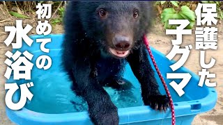 保護した小グマに初めての水浴び意外な反応に…⁉︎ For the first unexpected reaction to a protected small bear ...! ?