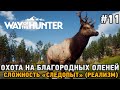 Way of the Hunter #11 Охота  в Трансильвании , Сложность "Следопыт" ( реализм )