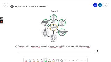 Cycles and Feeding Relationships - AQA GCSE Combined Science Higher