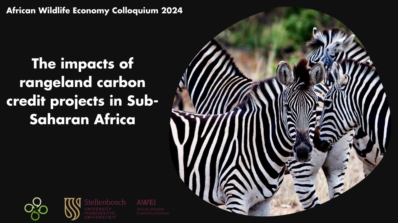 The impacts of rangeland carbon credit projects in Sub-Saharan Africa ...