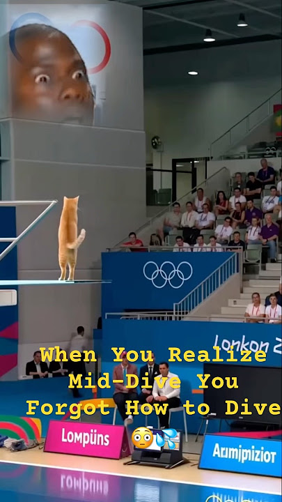 When You Realize Mid-Dive You Forgot How to Dive 😳💦