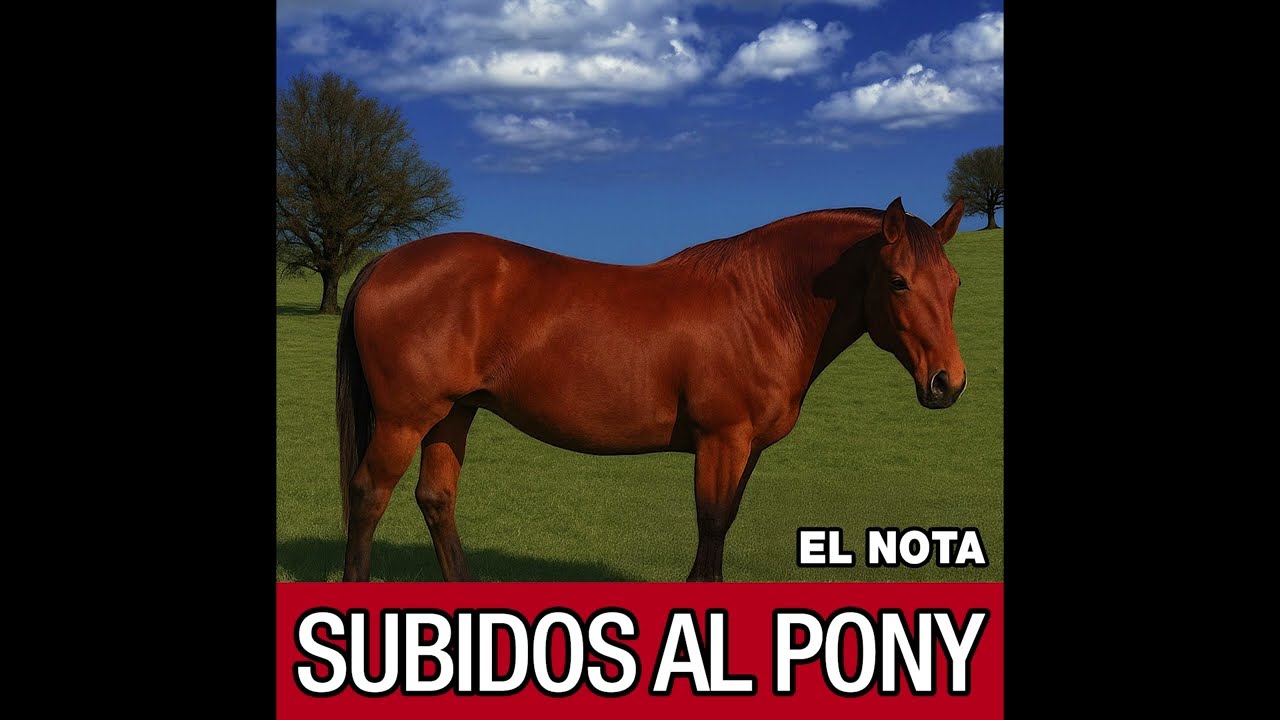 Watch EL NOTA - RAP (visualizer oficial) on YouTube Watch EL NOTA - RAP (visualizer oficial) on YouTube