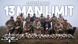Hunting THOUSANDS of CACKLING GEESE over a GIANT SPREAD
