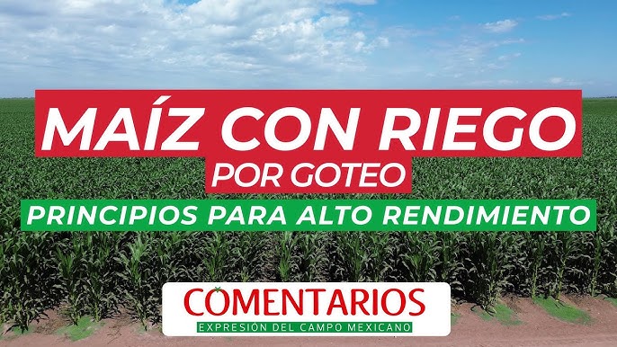 Cinta de Riego y sus características - Gritec Irrigation