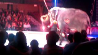 Johns circus elephants Asheville