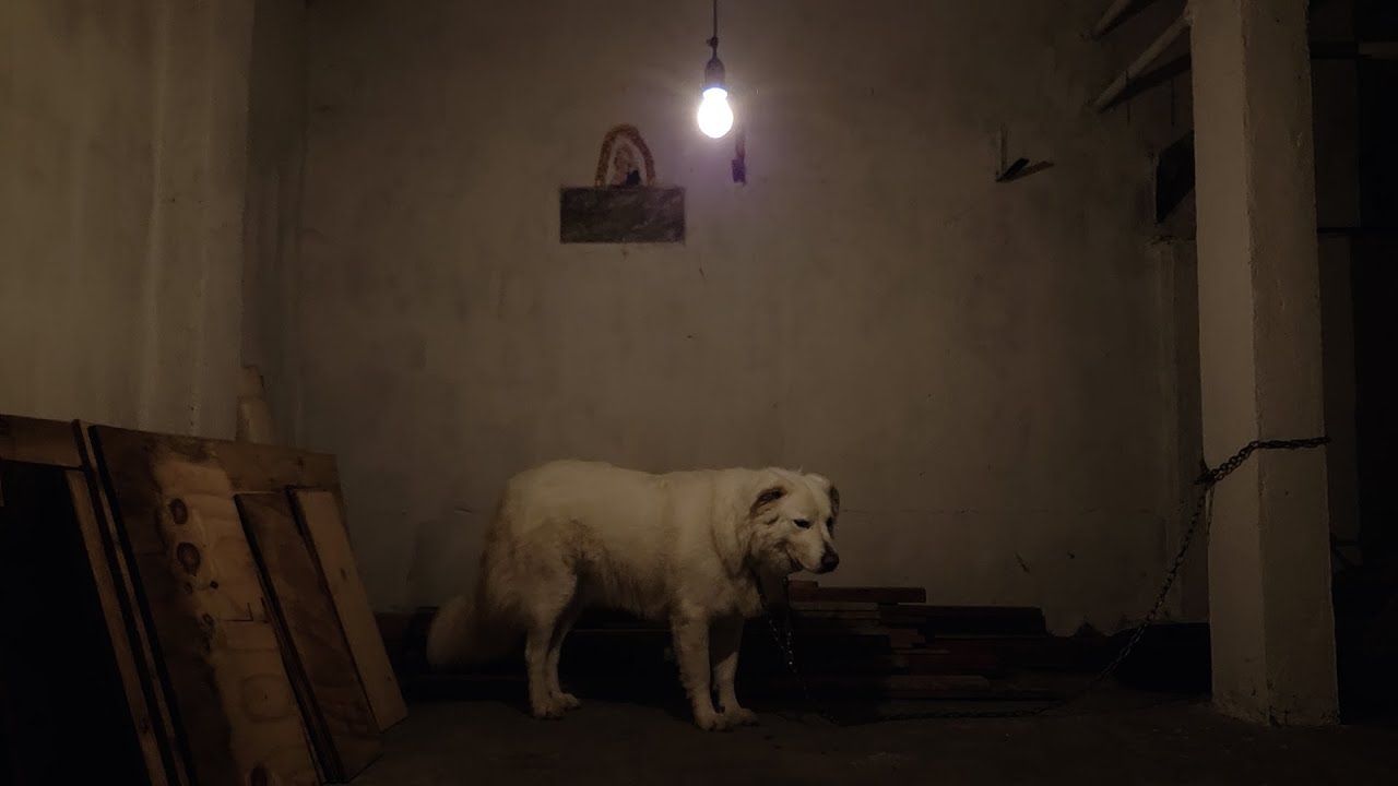 The Silence of Those Who Wait