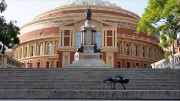 Dynamic Three-legged Locomotion of a Quadruped