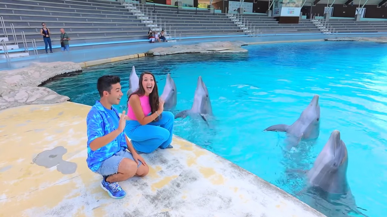 Rimini Dolphin Experience 🐬✨🐬