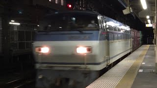 2021.8.3 貨物列車 EF66 (サメ)牽引 4076レ 宇都宮線 小山駅通過