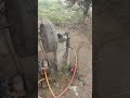 Engines are awesome
