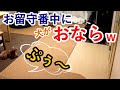 犬だけでお留守番していたら、くつろぎながらおならしてて笑ったw【トイプードル】