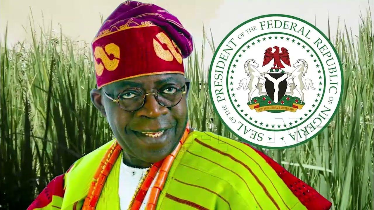 In-Depth Agriculture for National Development | NTA
