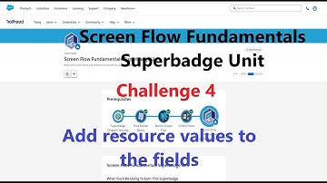 Screen Flow Fundamentals Superbadge Unit || Add resource values to the fields