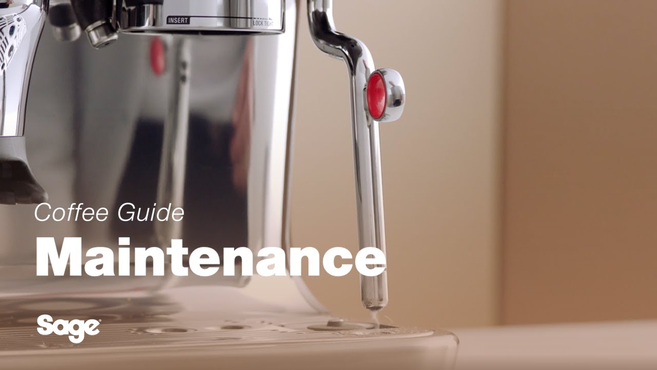 The Barista Touch™ Impress How to perform a routine steam wand purge