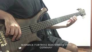 Warwick Fortress Masterman Vs Music Man Stingray