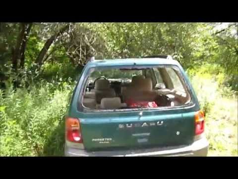 davidsfarm-got-a-98-subaru-forester-awd