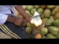Very Amazing Coconut Cutting Skills | Indian Street Food