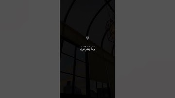 تلاوة خاشعة ومؤثرة الشيخ ماهر المعيقلي ارح سمعك ♡