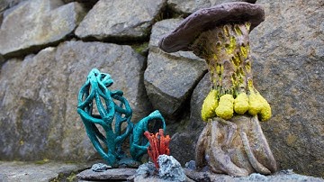 WILD Mushroom Terrain┃Underdark I