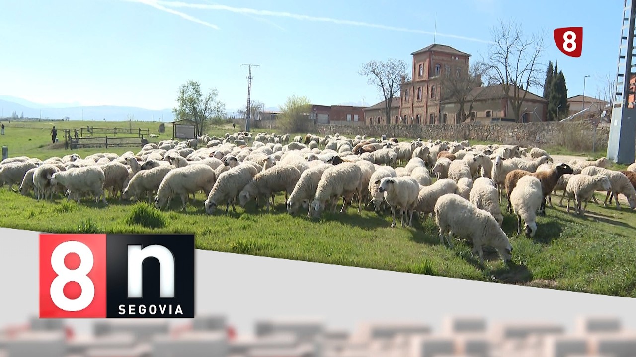 Noticias La 8 Segovia | Edición 14:00 h | Miércoles 25-03-2026