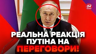 ⚡️Слухайте! Путін ЛЯПНУВ ТАКЕ про переговори! Готує ПАСТКУ для ЄС. Лукашенко ОБМОВИВСЯ про Білорусь